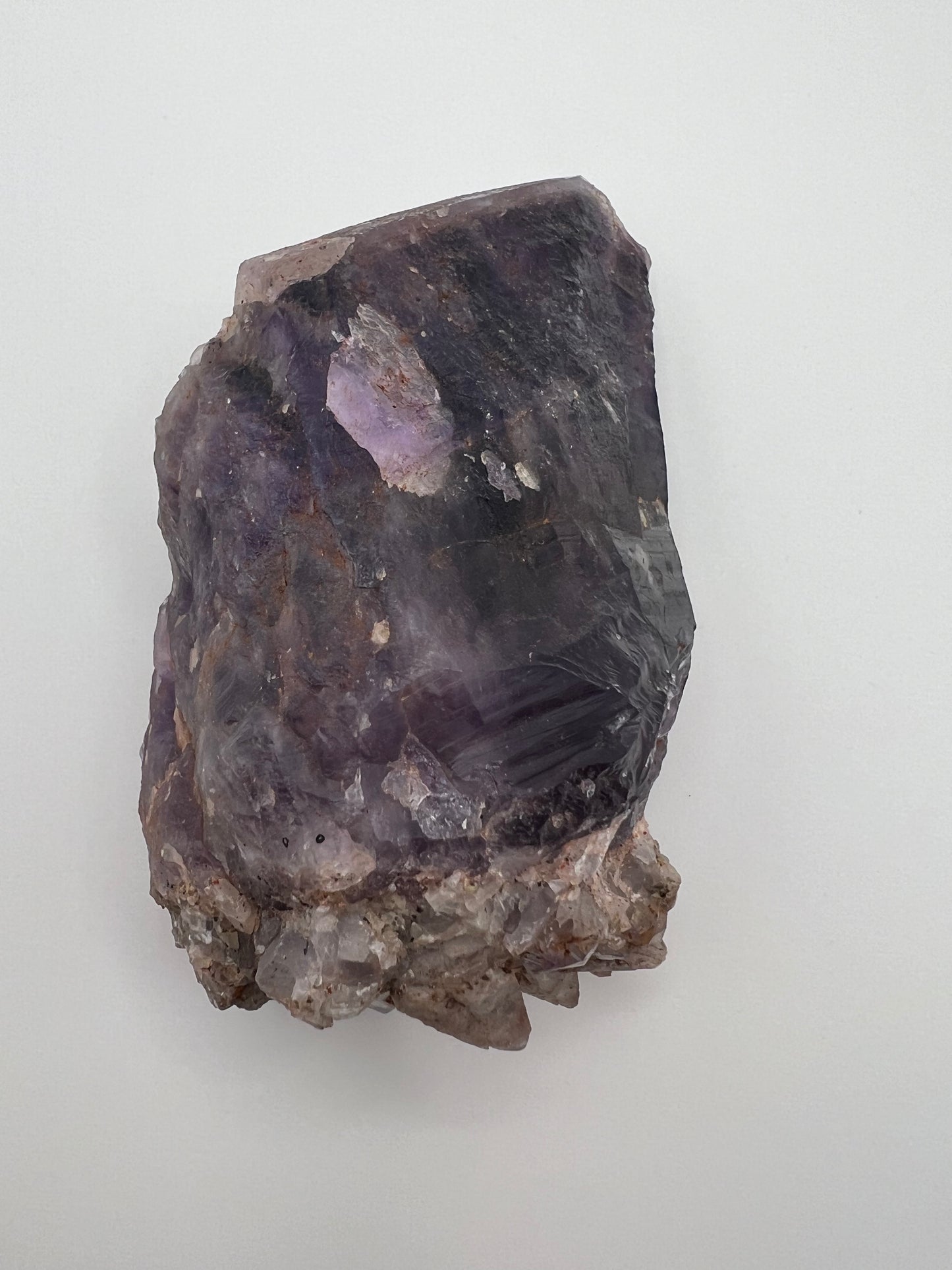 TB Specimen #1