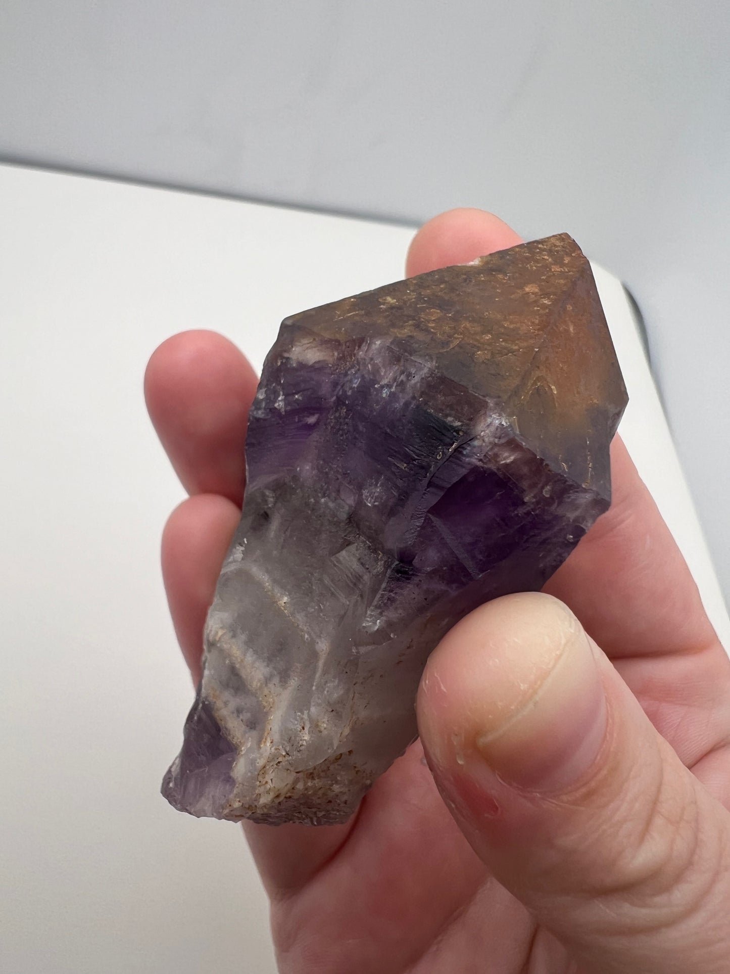 TB Specimen #4