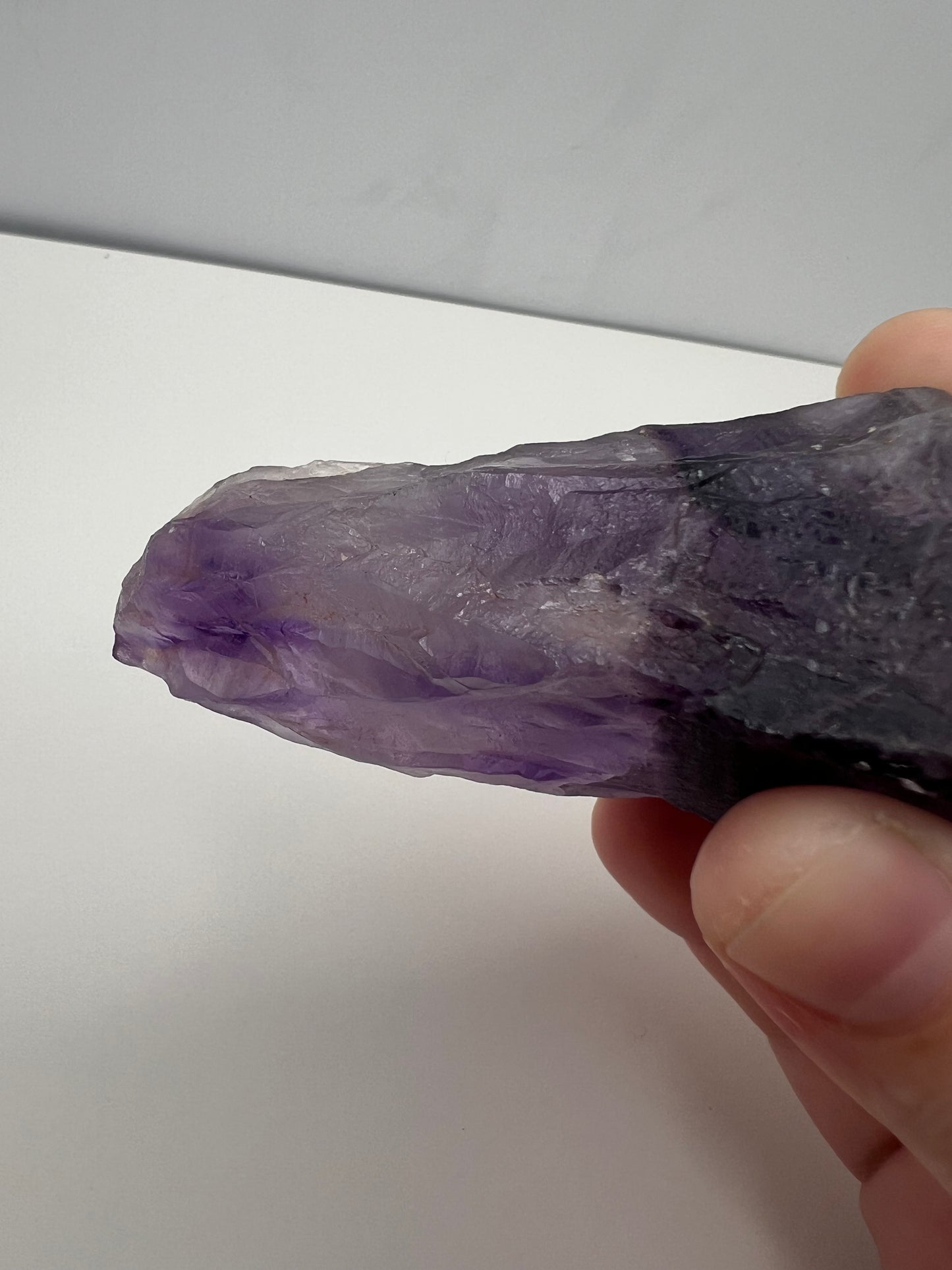 TB Specimen #5