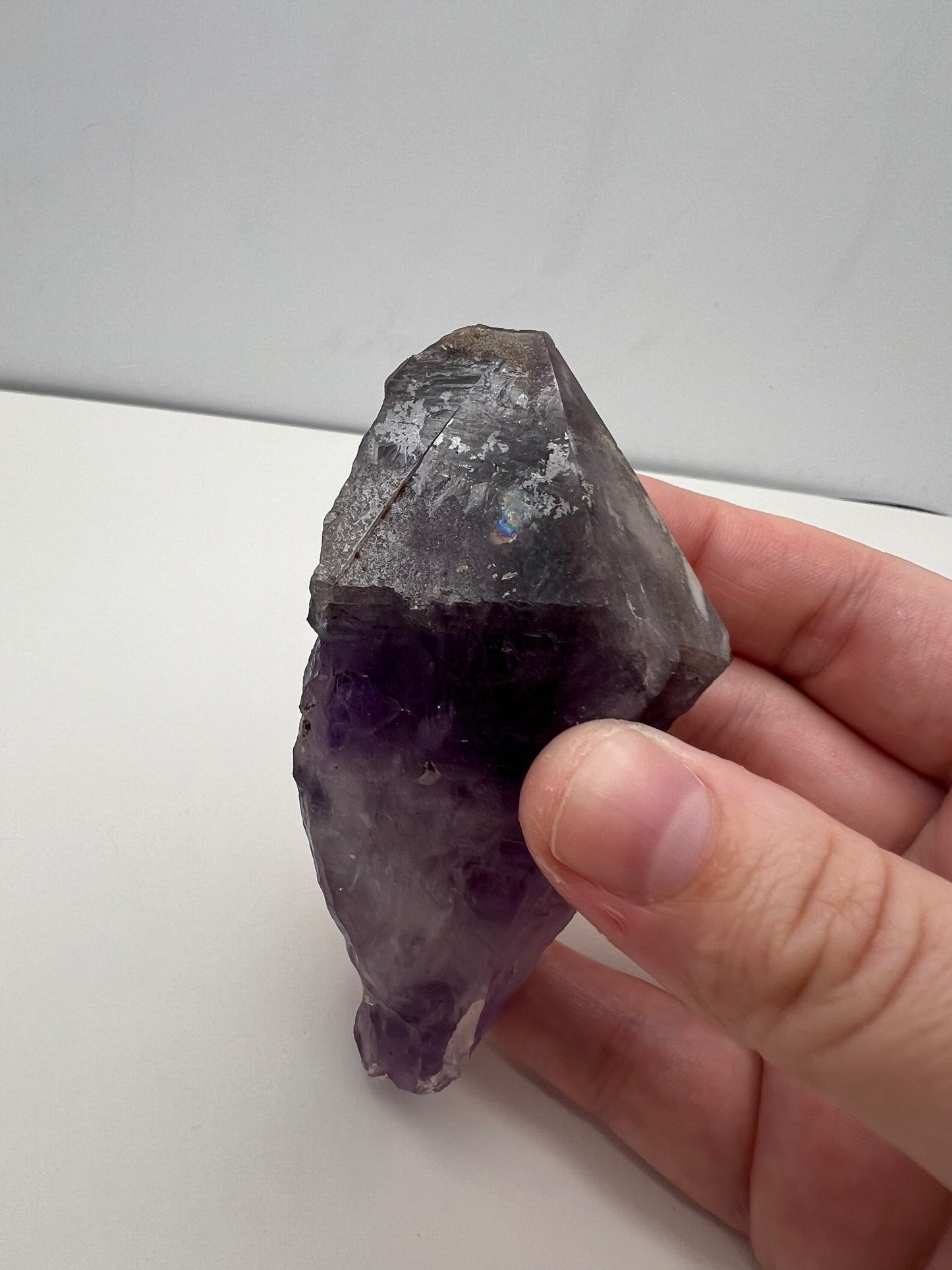 TB Specimen #5