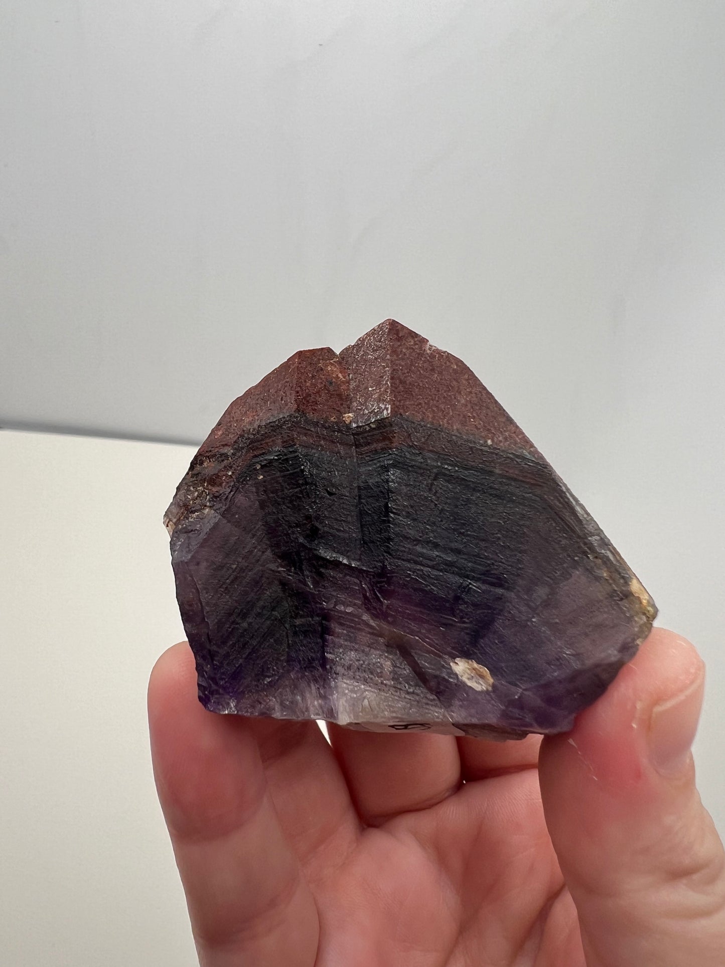 TB Specimen #6