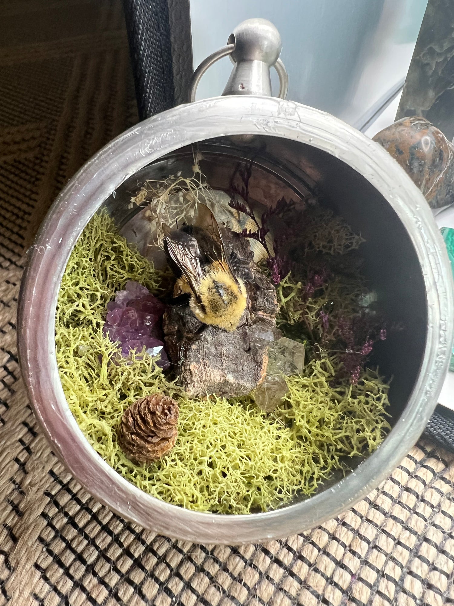 Taxidermy Pieces
