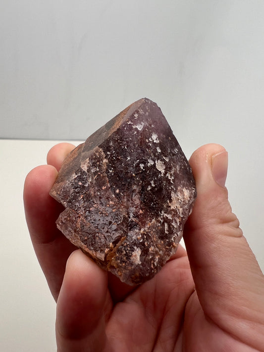 TB Specimen #3