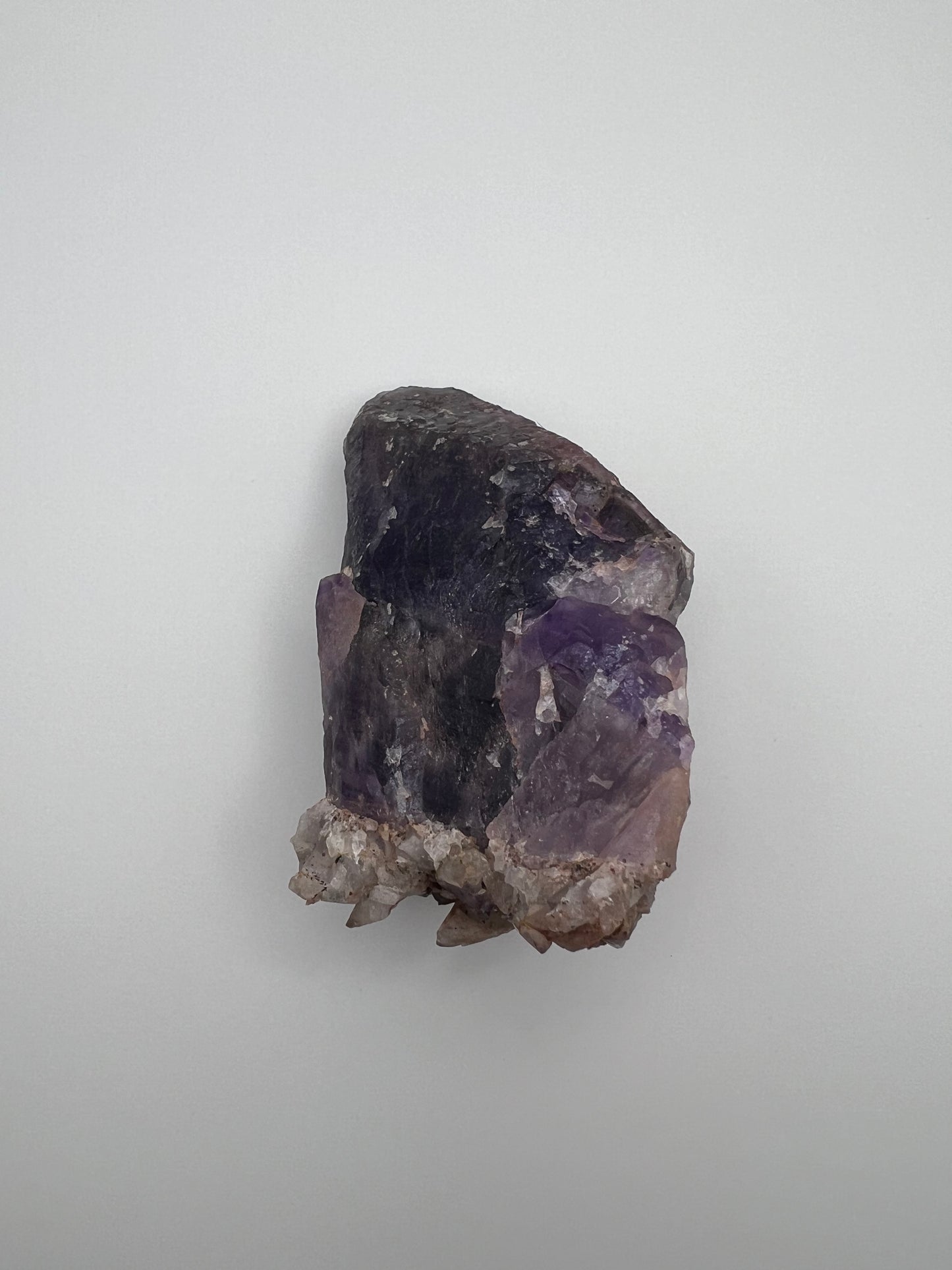 TB Specimen #1