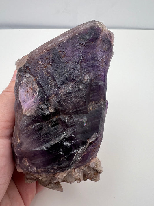 TB Specimen #1