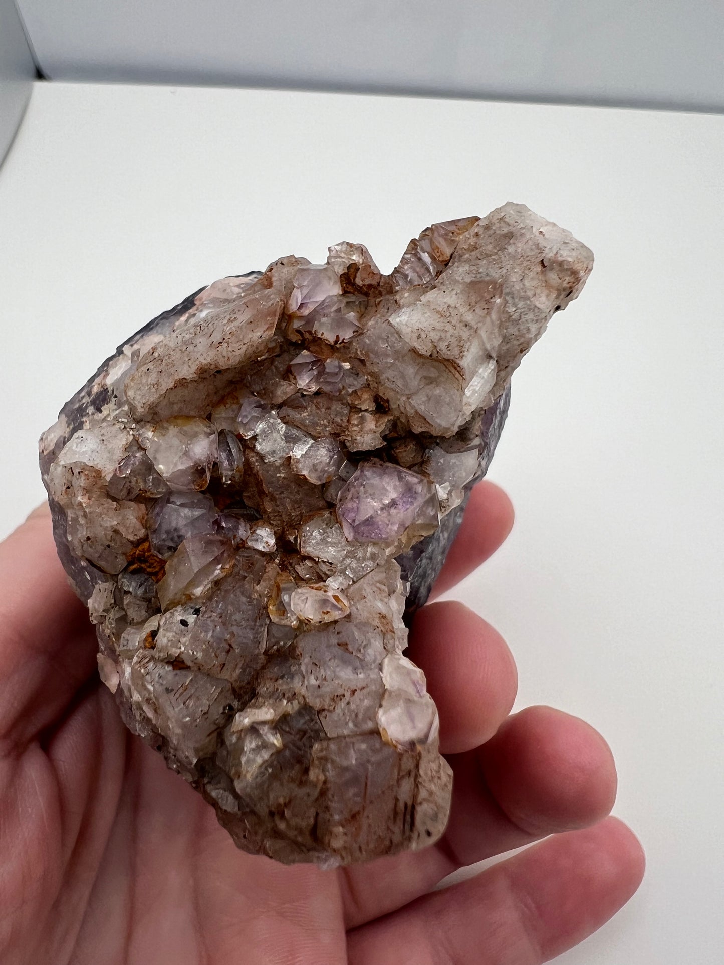 TB Specimen #1