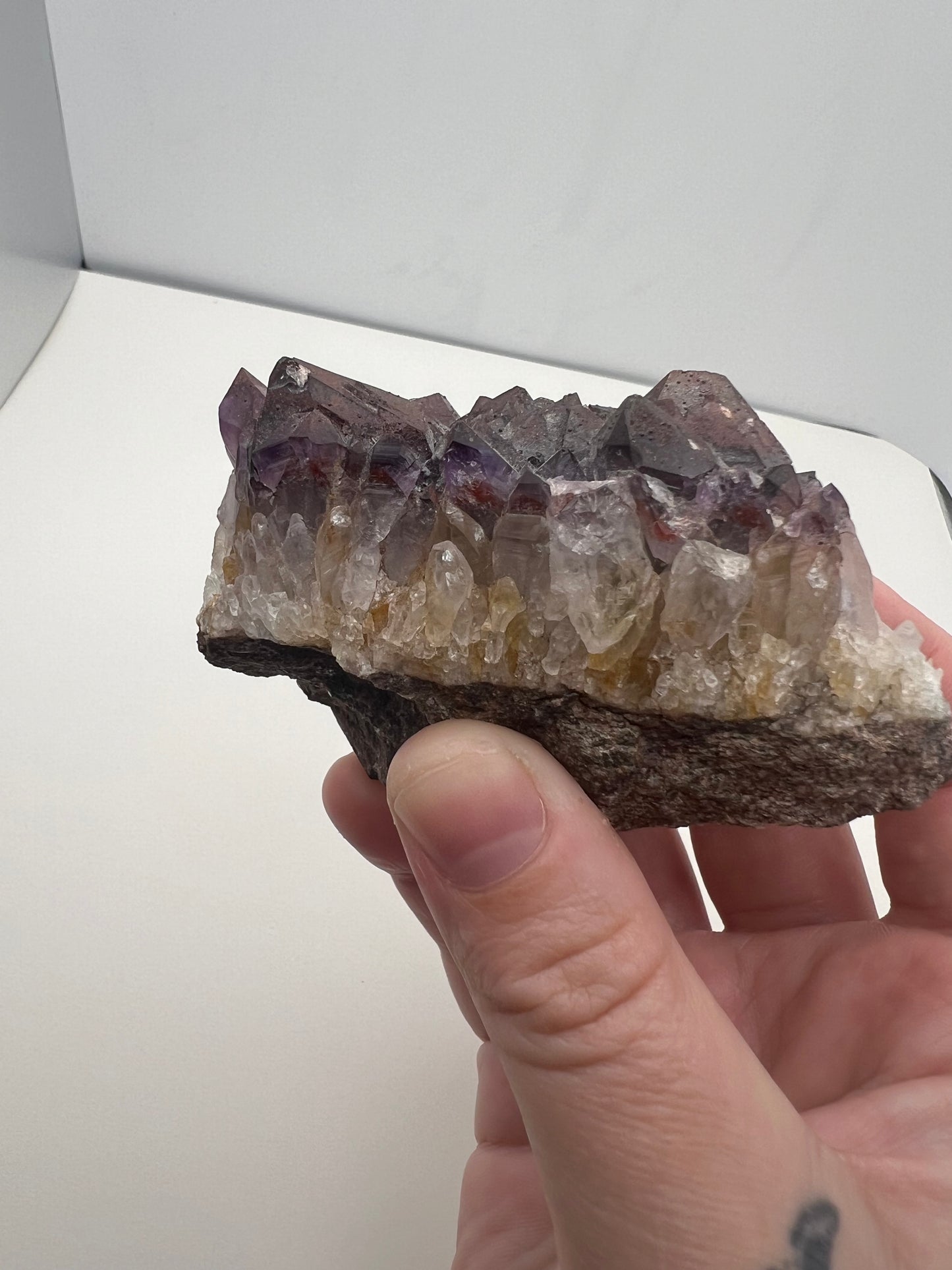 TB Specimen #2