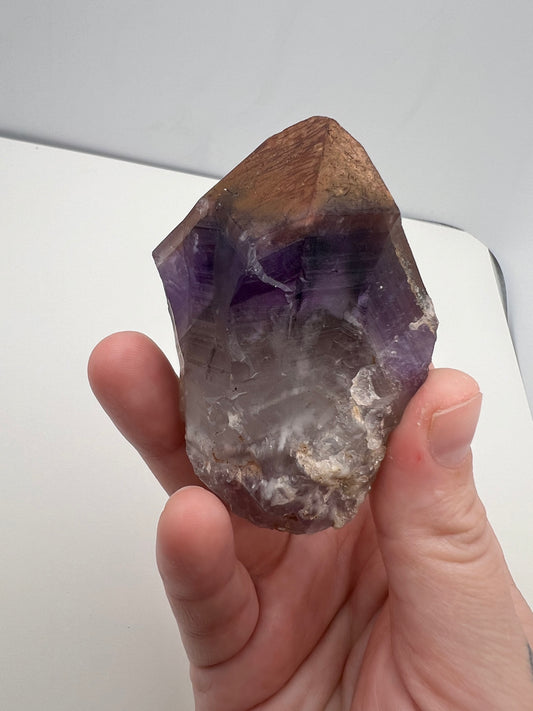 TB Specimen #4