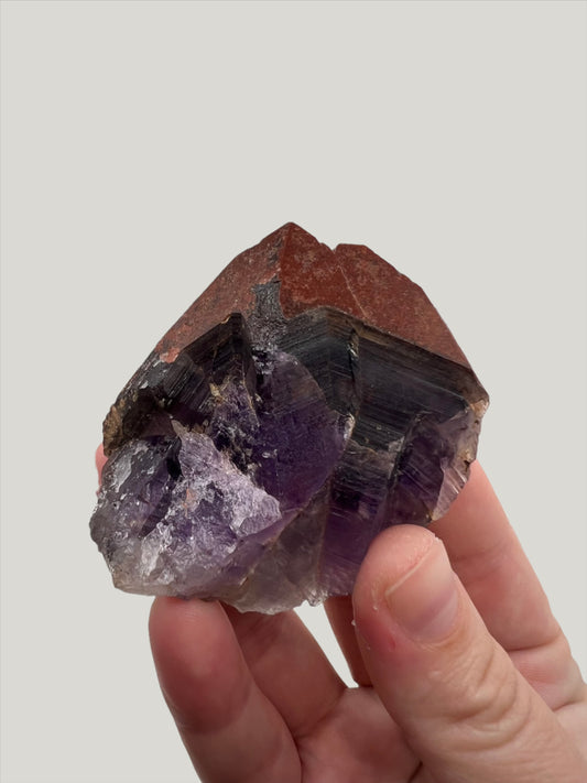 TB Specimen #6