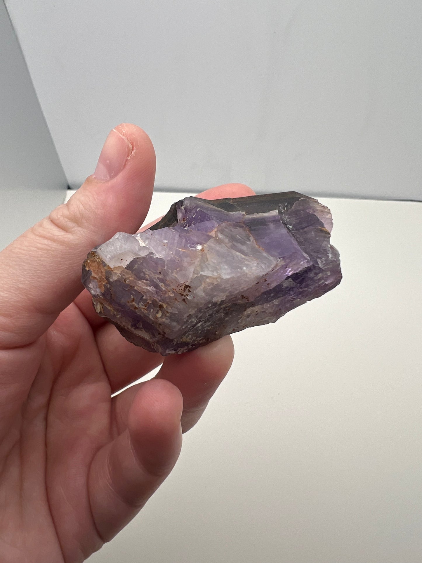 TB Specimen #6