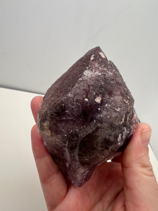 TB Specimen #7