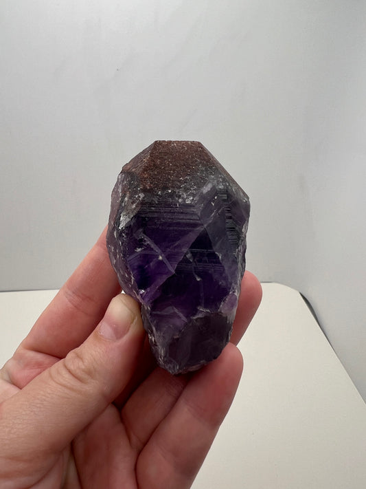 TB Specimen #8