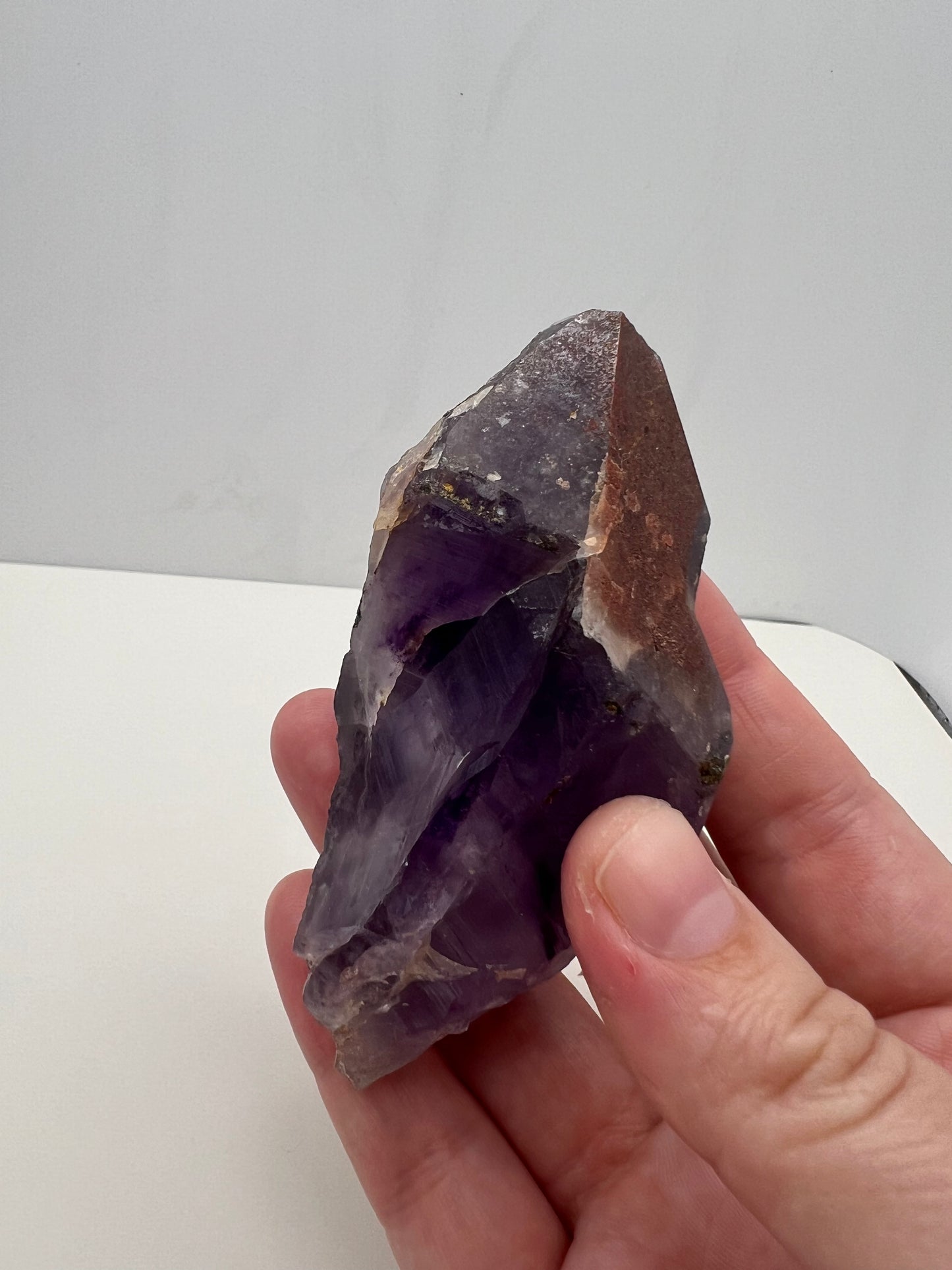 TB Specimen #10