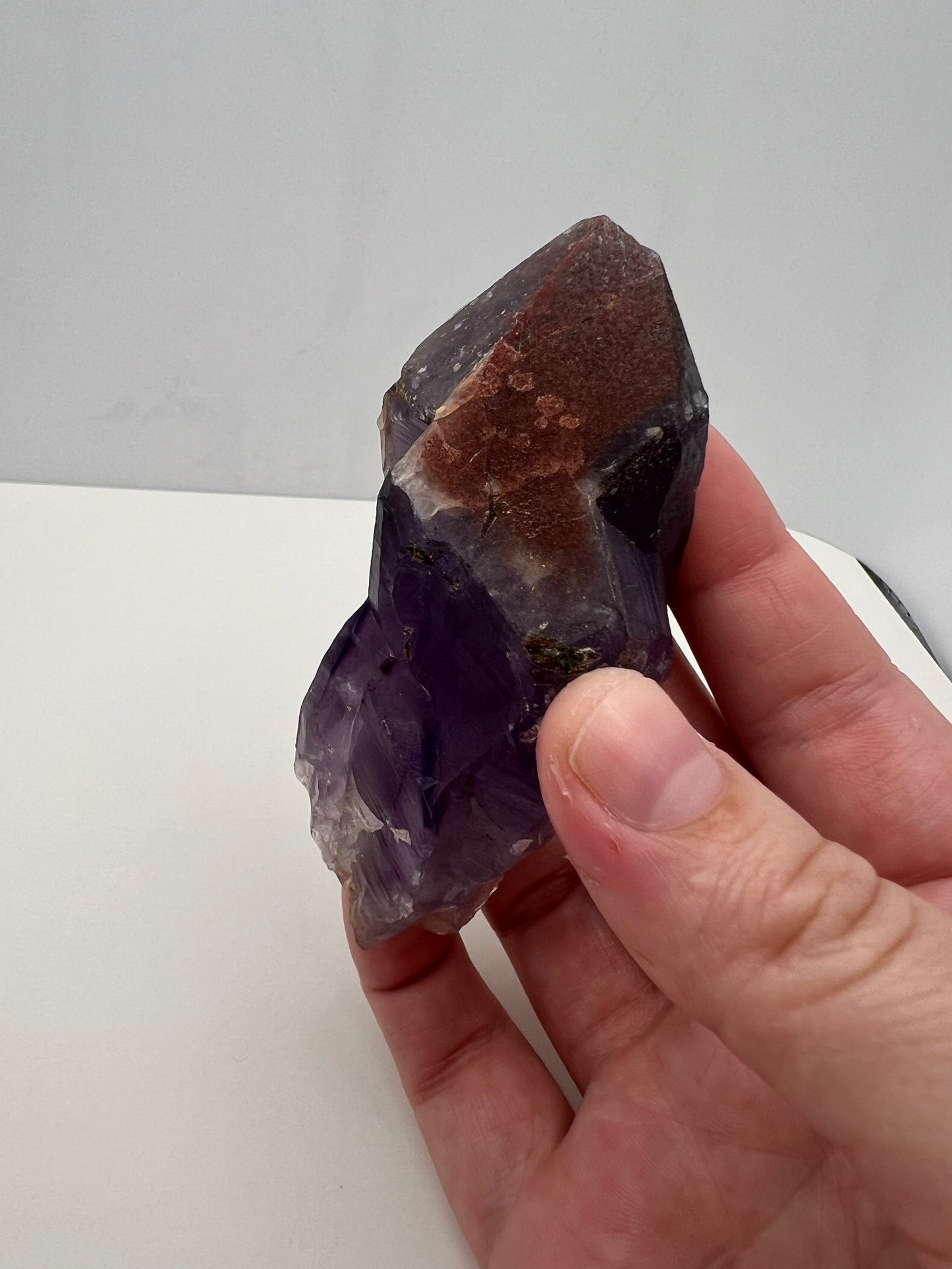 TB Specimen #10