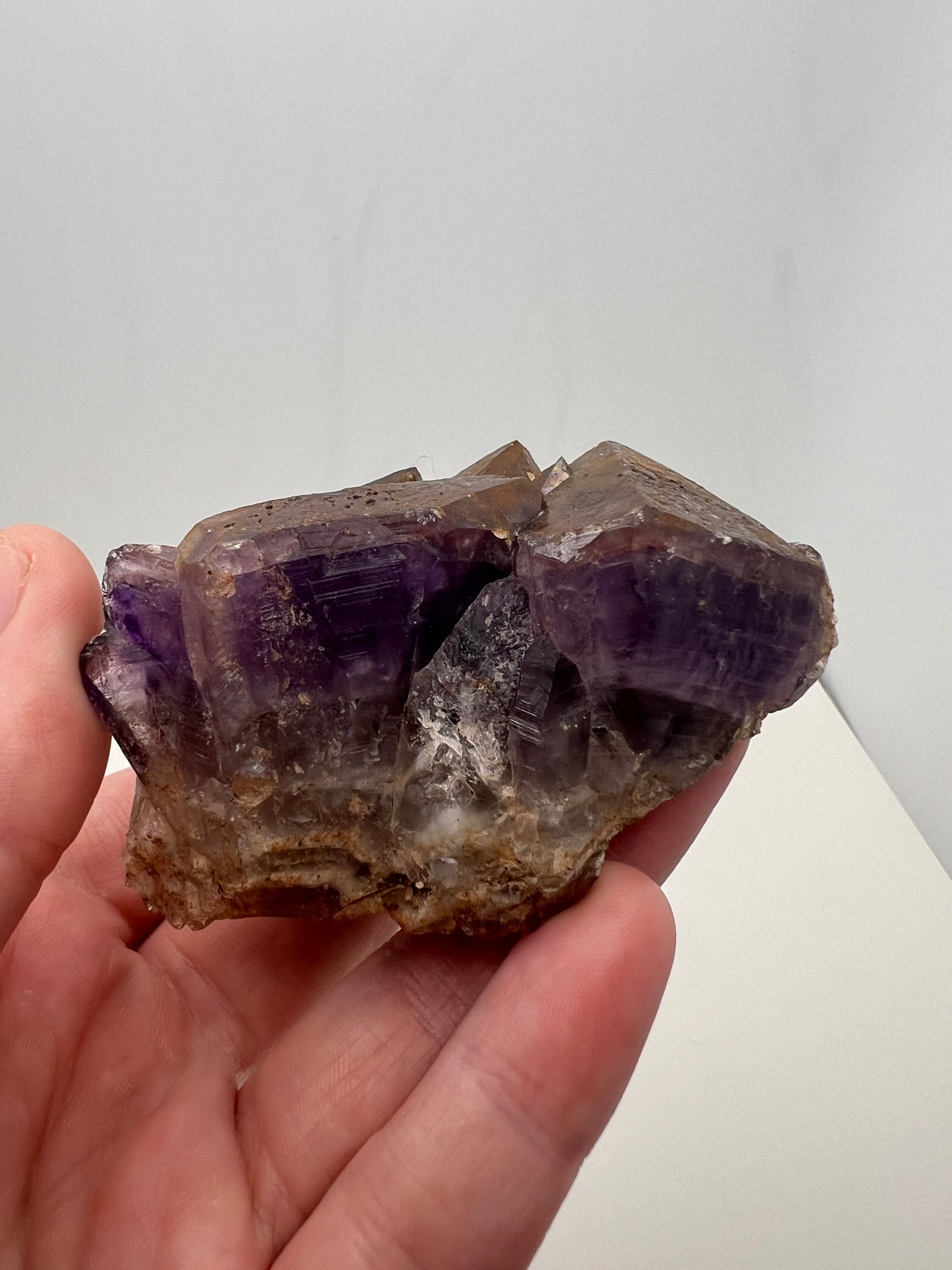 TB Specimen #11