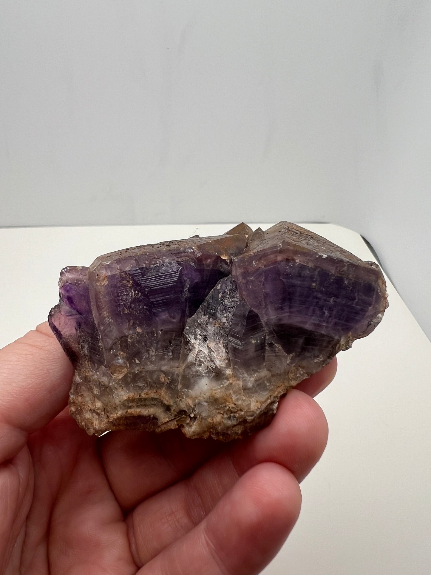 TB Specimen #11