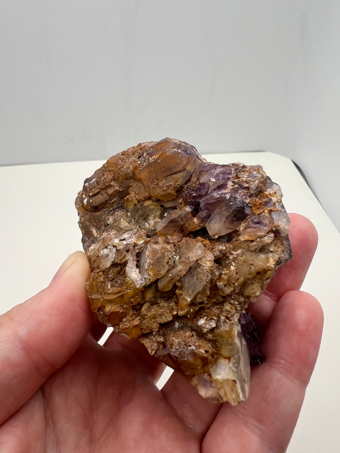 TB Specimen #11
