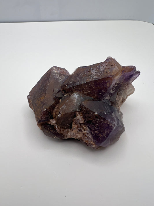 TB Specimen #11