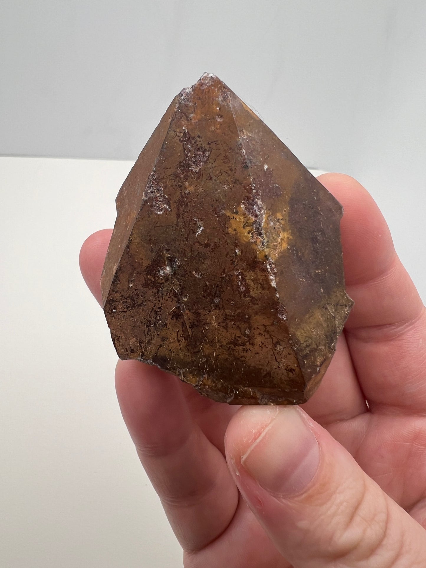 TB Specimen #12