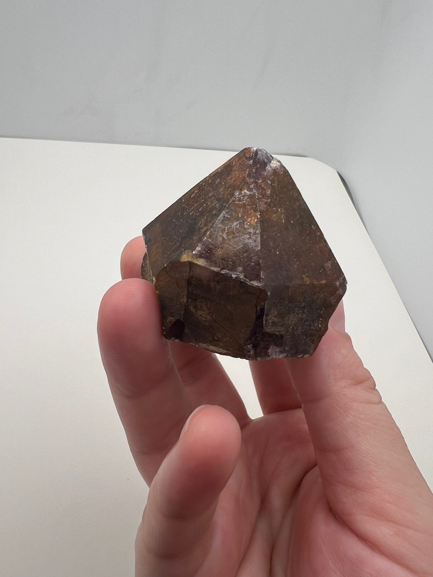 TB Specimen #12