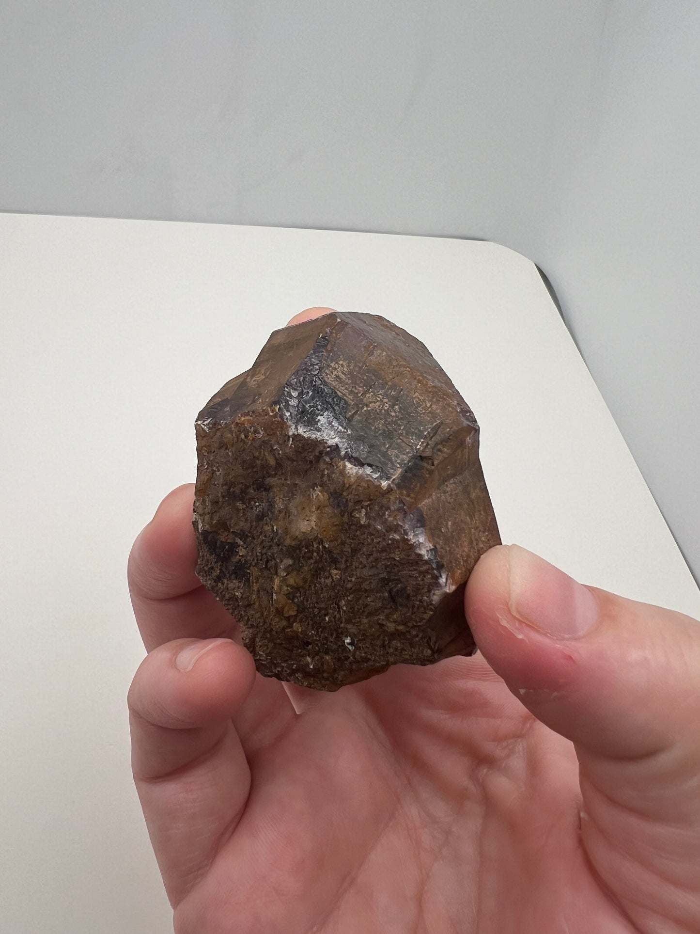 TB Specimen #12