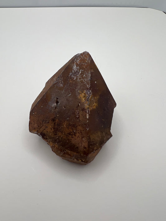 TB Specimen #12