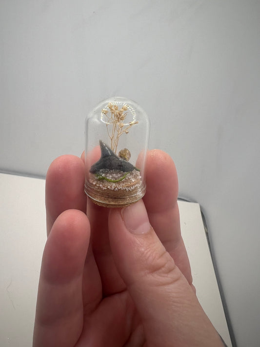 Mini Dome with Shark Tooth